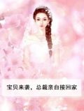 宝贝来袭,总裁亲自接回家
