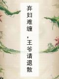 弃妇难缠,王爷请退散