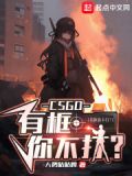 CSGO:有框你不打?