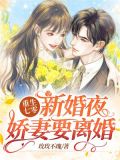 重生七零新婚夜,娇妻要离婚