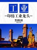 工业:印纺工业龙头