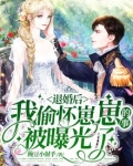 退婚后,我偷怀崽崽的事被曝光了