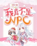 我真不是NPC