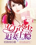 亿万冷少追妻上瘾