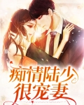 痴情陆少很宠妻
