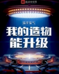我的造物能升级