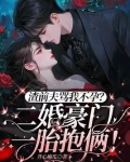 渣前夫骂我不孕?二婚豪门一胎抱俩!