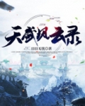 天武风云录