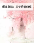 爆宠皇妃:王爷请速归顺