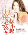 神秘老公惹不起