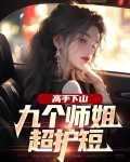 高手下山:九个师姐超护短