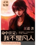 命中注定:我不是凡人