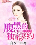 虐恋情深:腹黑CEO的独家妻约