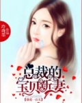 强爱一百天,总裁的宝贝新妻