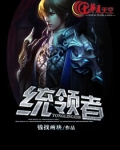 统领者