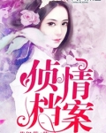侦情档案