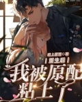 重生后我被原配粘上了