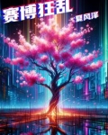 赛博狂乱