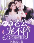 闪婚鲜妻:神秘老公宠不停