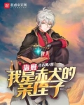 海贼:我是赤犬的亲侄子