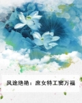 凤途绝艳:庶女特工窦万福
