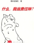 什么,我当责任神?