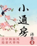 小通房