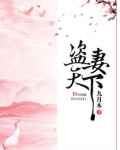 盗妻天下