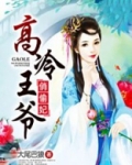 高冷王爷俏偷妃