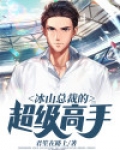 冰山总裁的超级高手