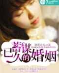 蓄谋已久的婚姻