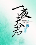 一夜夫君