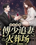 诱他上瘾:傅少的冷情罪妻